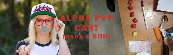 каннабис Ессентукская