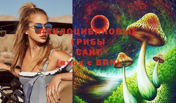кокс Алзамай
