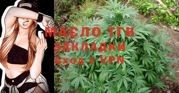 стаф Аркадак
