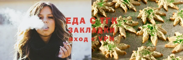 стаф Аркадак