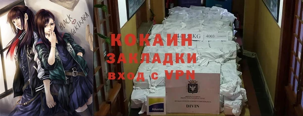 стаф Аркадак